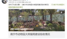 南宁动物园爆料视频最新,神秘动物亮相，揭秘动物世界奇观！