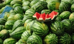 钛9吃瓜爆料最新,娱乐圈最新瓜料大曝光！