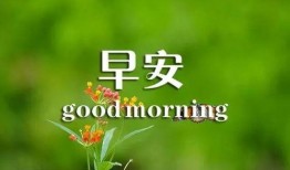 早安最新爆料图片高清,高清爆料图片揭秘，带你一睹为快！