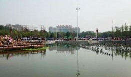 高邑中兴公园爆料案最新,真相揭晓，事件背后惊人内幕曝光