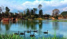 贵州花果园爆料案件最新,惊现惊人内幕，真相令人震惊！