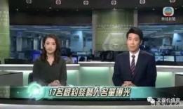 美国税局最新爆料案件,揭秘巨额逃税案件内幕