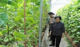 济宁吃瓜最新事件爆料是真的吗,真相揭秘还是网络谣言？