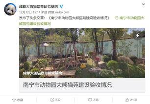 南宁动物园爆料视频最新,神秘动物亮相，揭秘动物世界奇观！