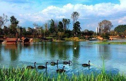 贵州花果园爆料案件最新,惊现惊人内幕，真相令人震惊！